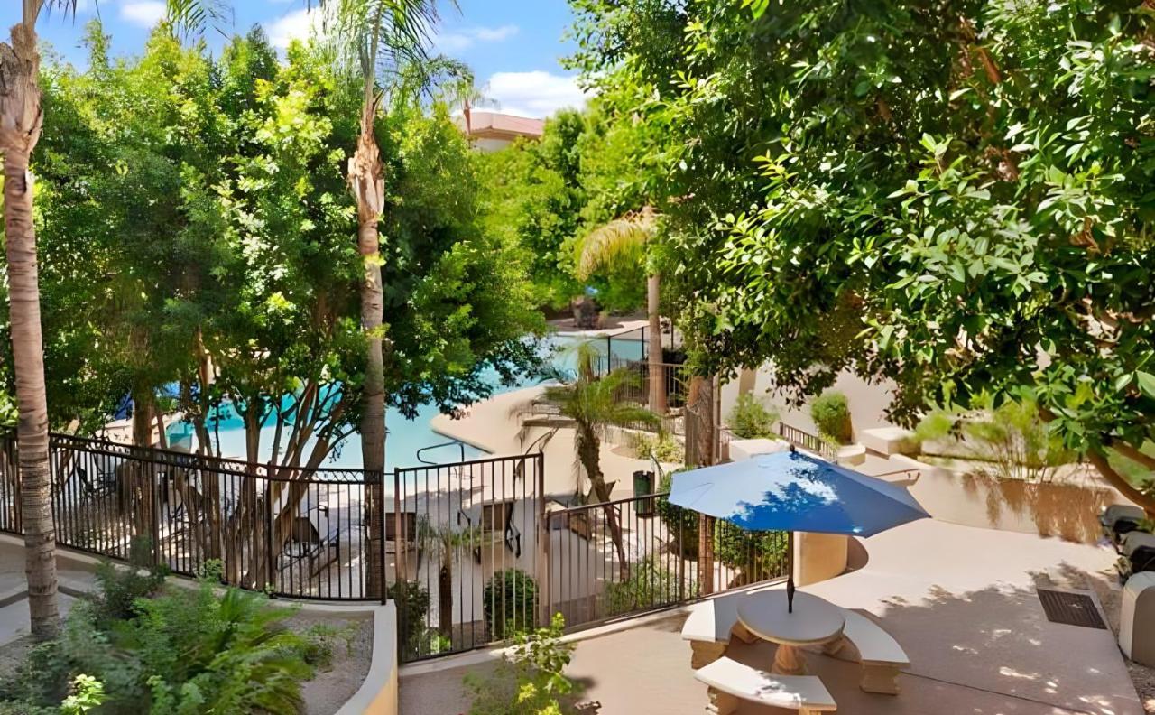Biltmore Bliss Desert Retreat! Phoenix Eksteriør billede