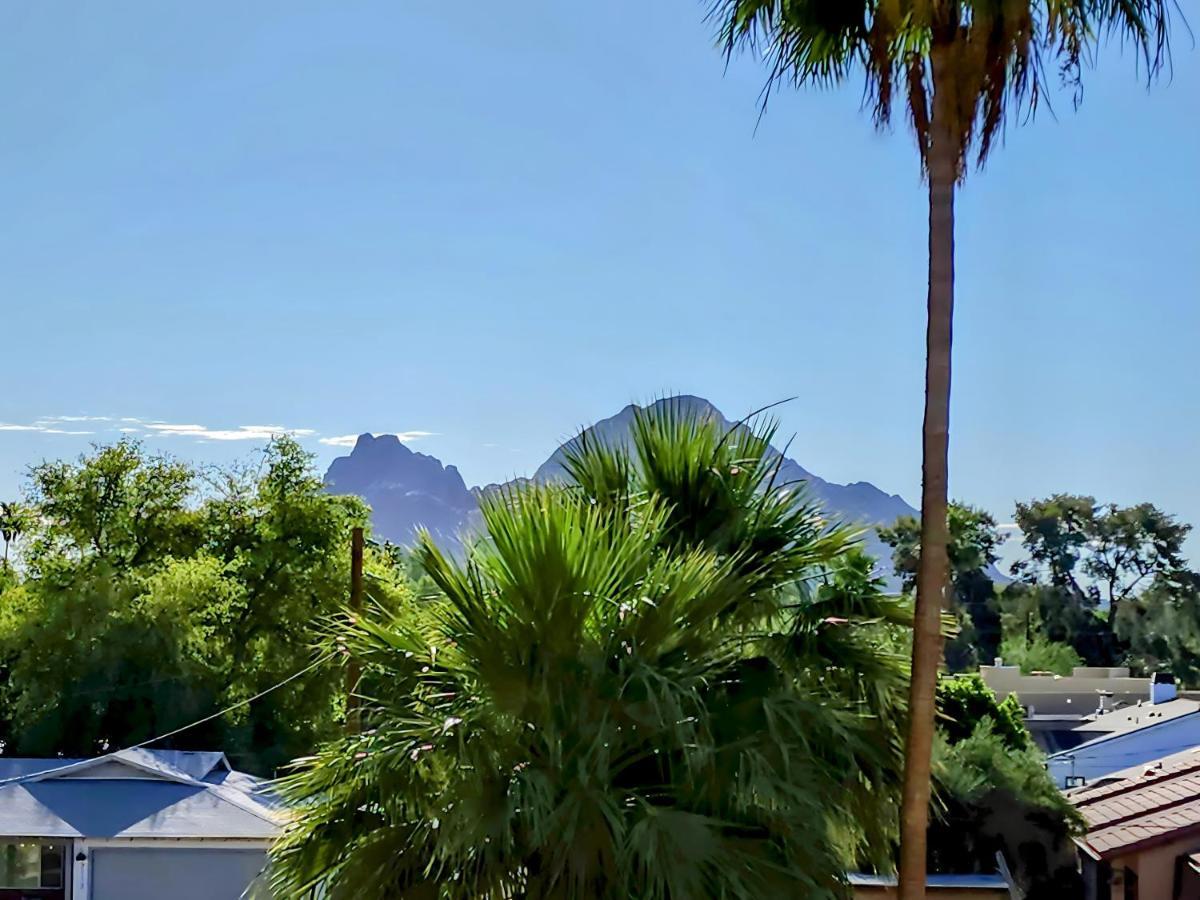 Biltmore Bliss Desert Retreat! Phoenix Eksteriør billede